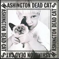 Washington Dead Cats : Washington Dead Cats
